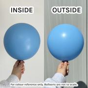 Standard Baby Blue – 13 см (5 инча) – 100 броя – Kalisan